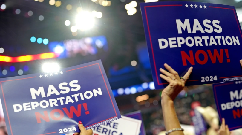 mass deportation signage